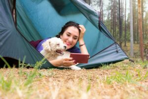 Ta med husdjur på camping